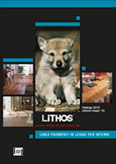 Scarica il Catalogo "Lithos" della linea pavimenti in legno per interni