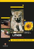 Scarica il Catalogo "Lithos" della linea pavimenti in legno per esterni